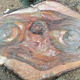 Image for article titled Man finds stump that kind of looks like E.T., hires publicist to alert the world
